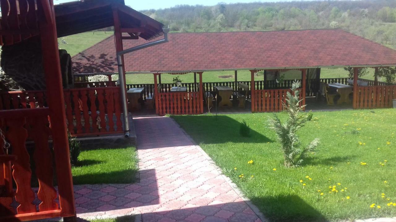 Casa Leonardo Hotel Haţeg Zewnętrze zdjęcie