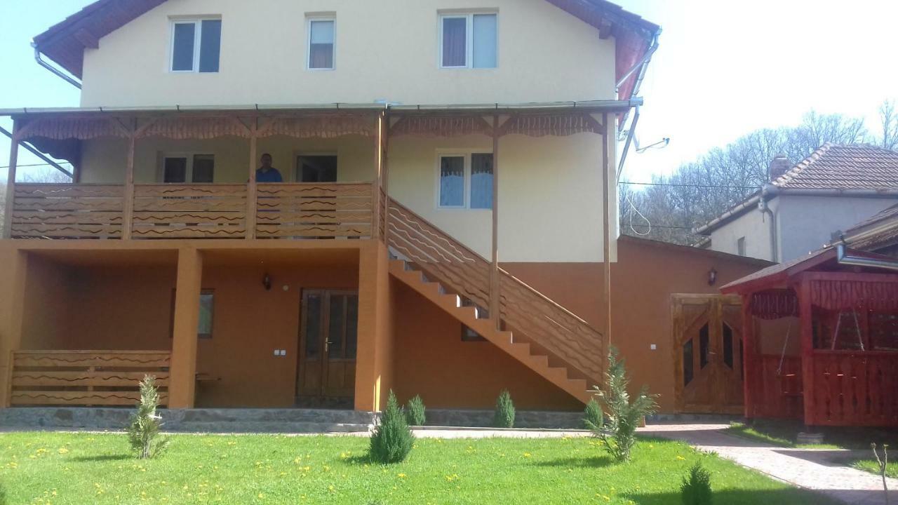 Casa Leonardo Hotel Haţeg Zewnętrze zdjęcie