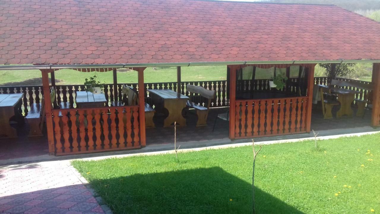 Casa Leonardo Hotel Haţeg Zewnętrze zdjęcie
