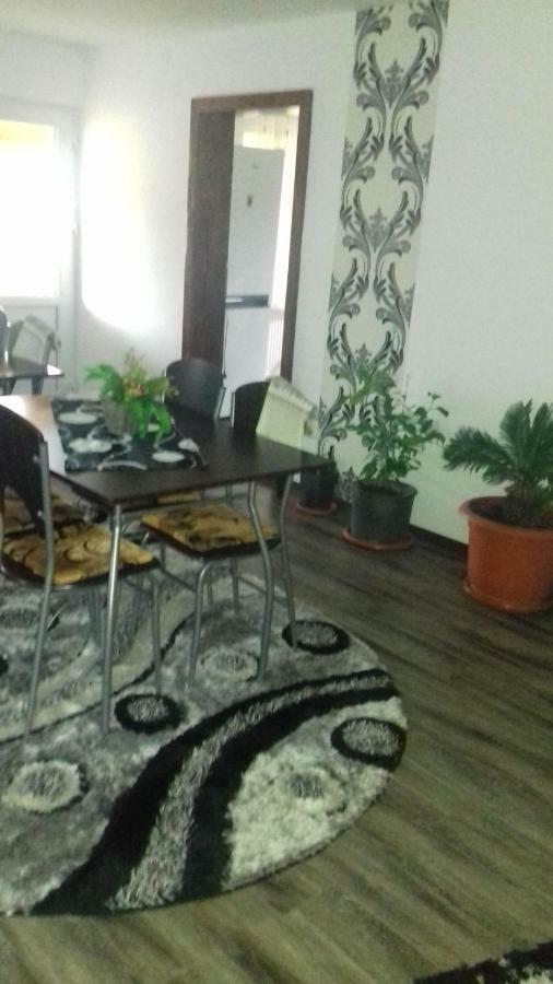 Casa Leonardo Hotel Haţeg Zewnętrze zdjęcie