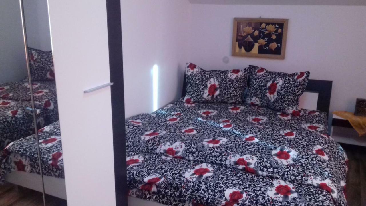 Casa Leonardo Hotel Haţeg Zewnętrze zdjęcie