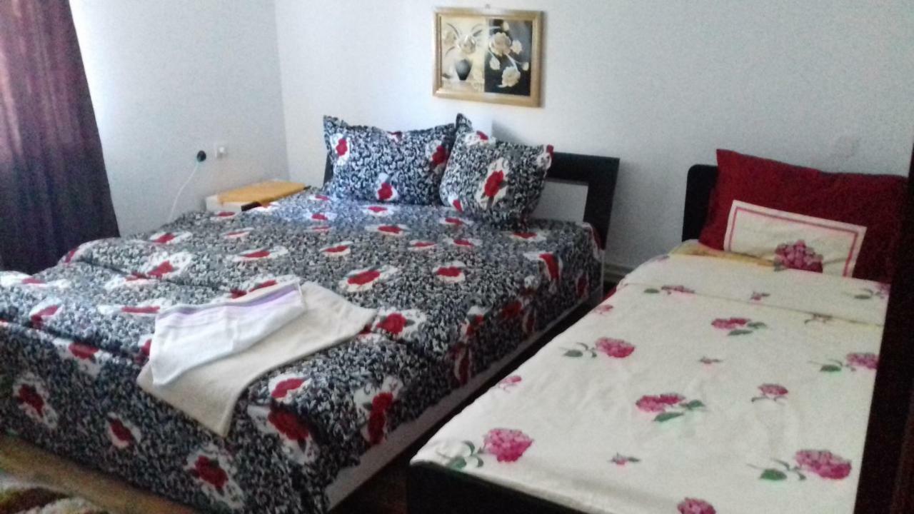 Casa Leonardo Hotel Haţeg Zewnętrze zdjęcie